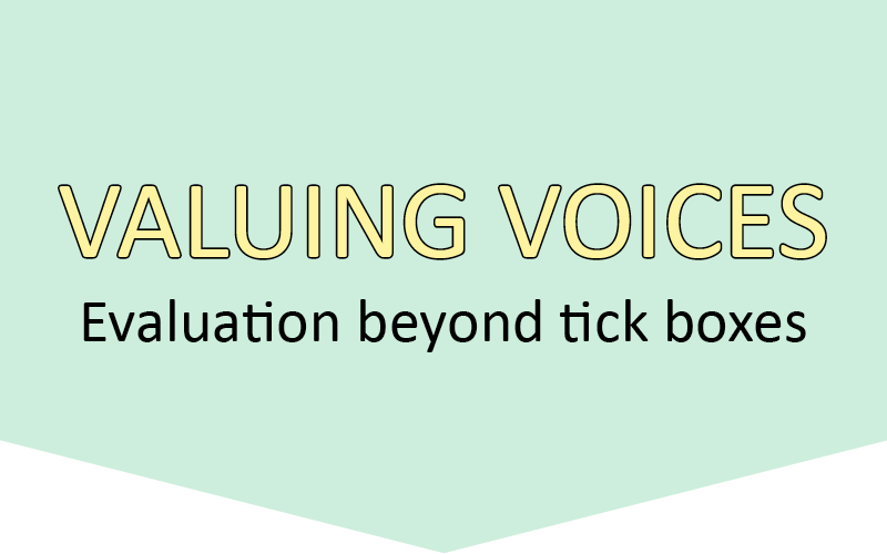valuing voices toolbox logo